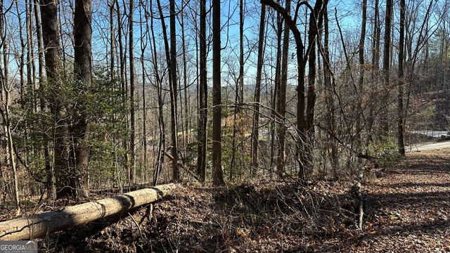710 Northridge Drive, Tiger, GA 30576