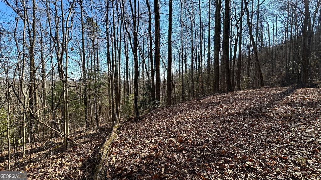 710 Northridge Drive, Tiger, GA 30576 — photo 4