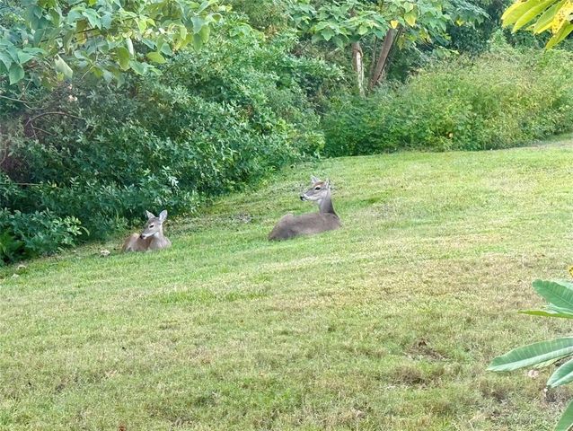 1482 GLENGARRY DRIVE, Palm Harbor, FL 34684