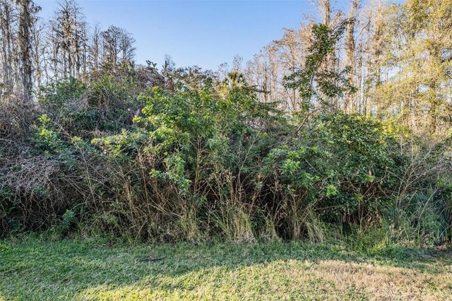 1827 HAMMOCKS AVENUE 1827, Lutz, FL 33549