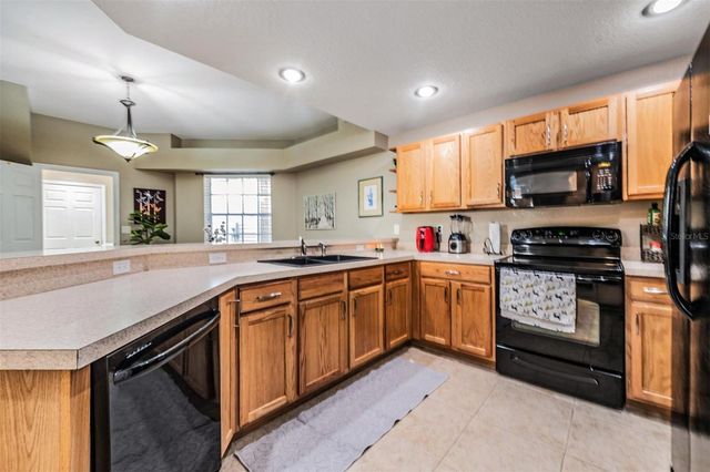 1827 HAMMOCKS AVENUE 1827, Lutz, FL 33549