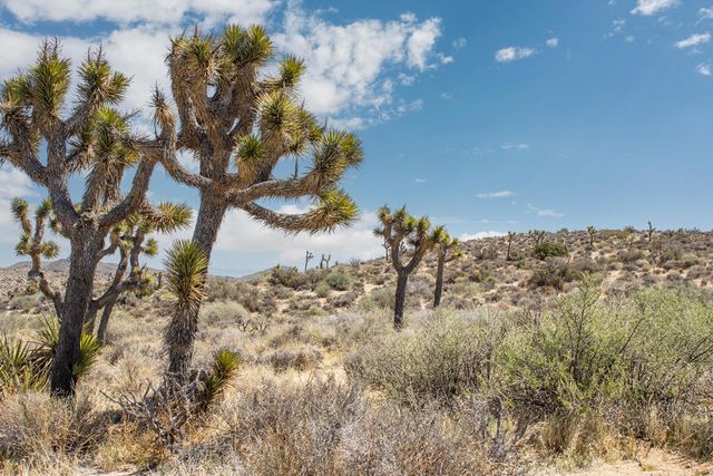 101 Hondo Street, Pioneertown, CA 92268