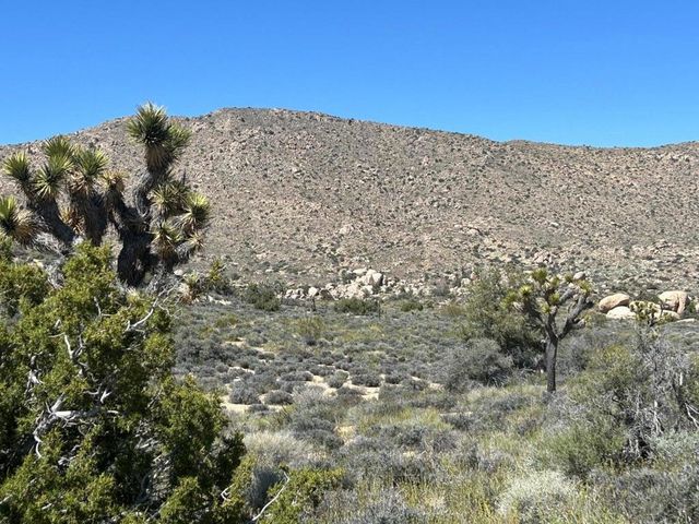 101 Hondo Street, Pioneertown, CA 92268