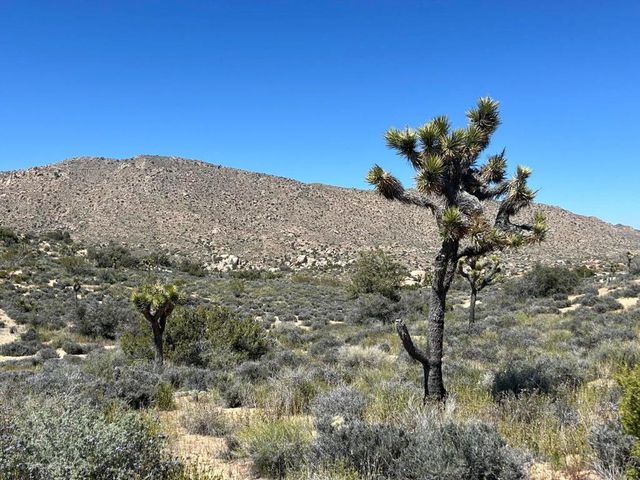 101 Hondo Street, Pioneertown, CA 92268
