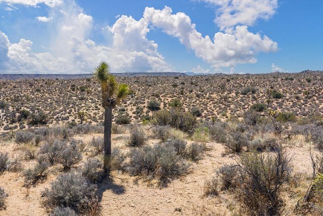 101 Hondo Street, Pioneertown, CA 92268