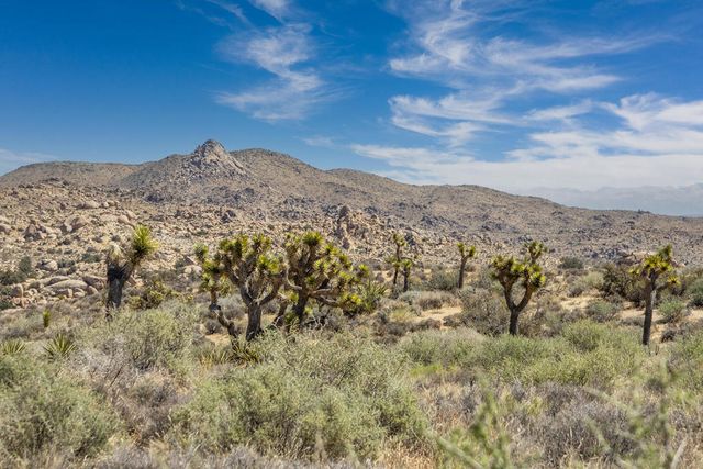 101 Hondo Street, Pioneertown, CA 92268