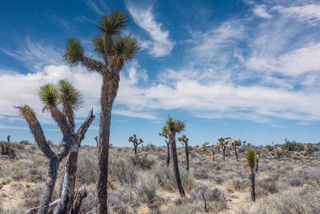 101 Hondo Street, Pioneertown, CA 92268