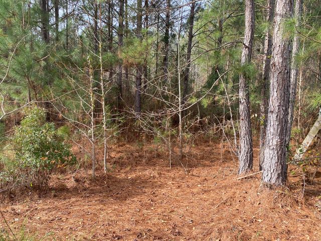 0 Adams-Reeves Road, Dearing, GA 30808