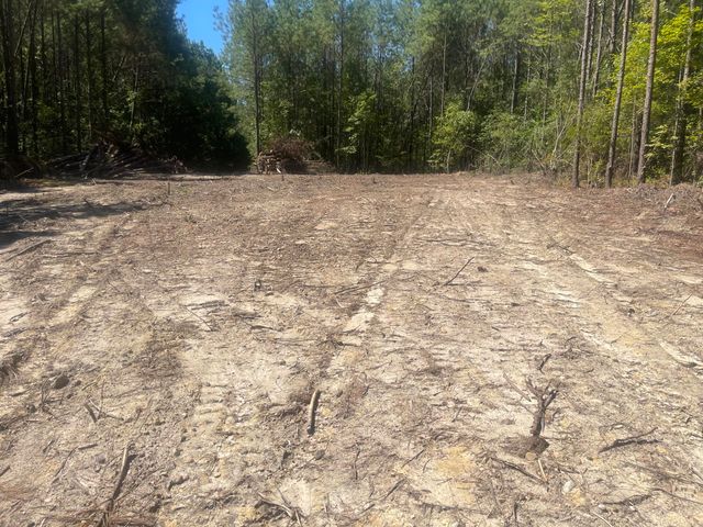 0 Adams-Reeves Road, Dearing, GA 30808