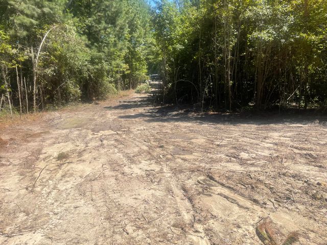0 Adams-Reeves Road, Dearing, GA 30808
