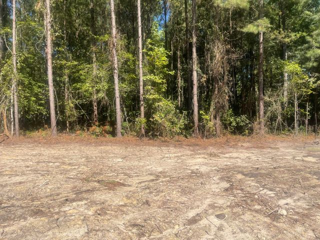 0 Adams-Reeves Road, Dearing, GA 30808