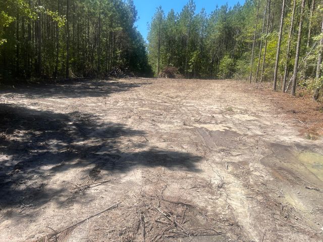 0 Adams-Reeves Road, Dearing, GA 30808