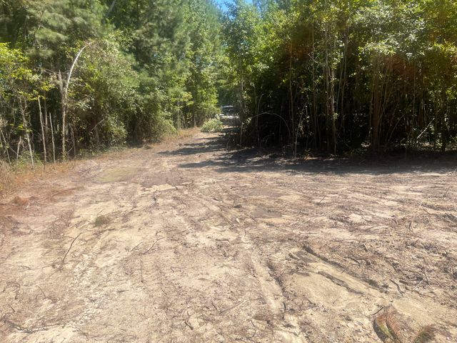 0 Adams-Reeves Road, Dearing, GA 30808