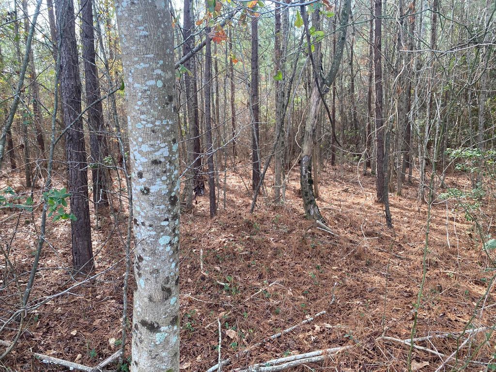 0 Adams-Reeves Road, Dearing, GA 30808