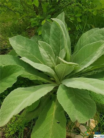 1217 Craig Street, Copperas Cove, TX 76522