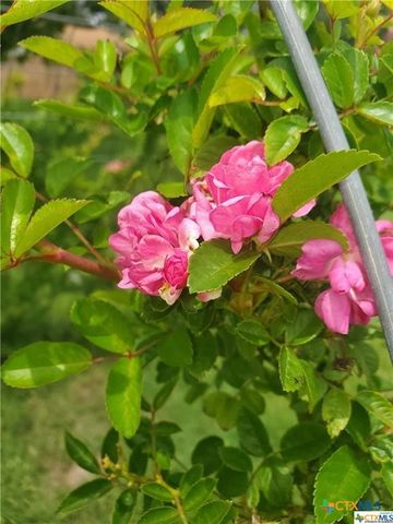 1217 Craig Street, Copperas Cove, TX 76522