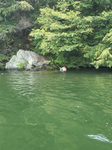 13 Tyminski Lane, Hubbardton, VT 05743