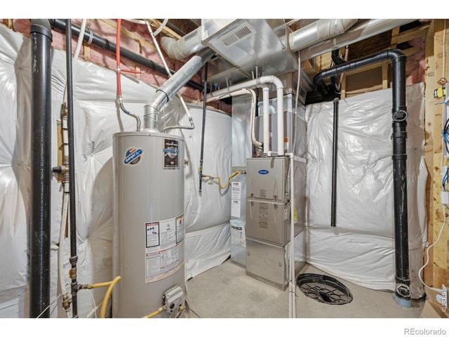 1106 Ibex Drive, Severance, CO 80550