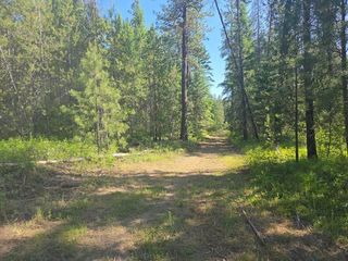 XXX Hwy 395 Hwy, Loon Lake, WA 99148