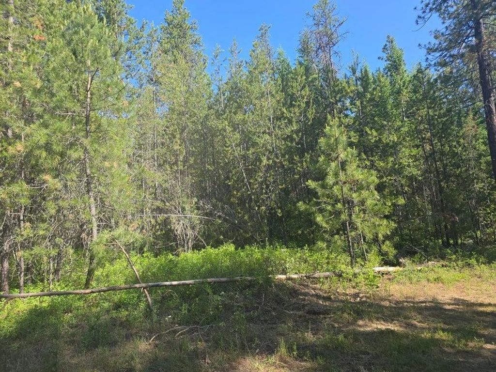 XXX Hwy 395 Hwy, Loon Lake, WA 99148 photo 2