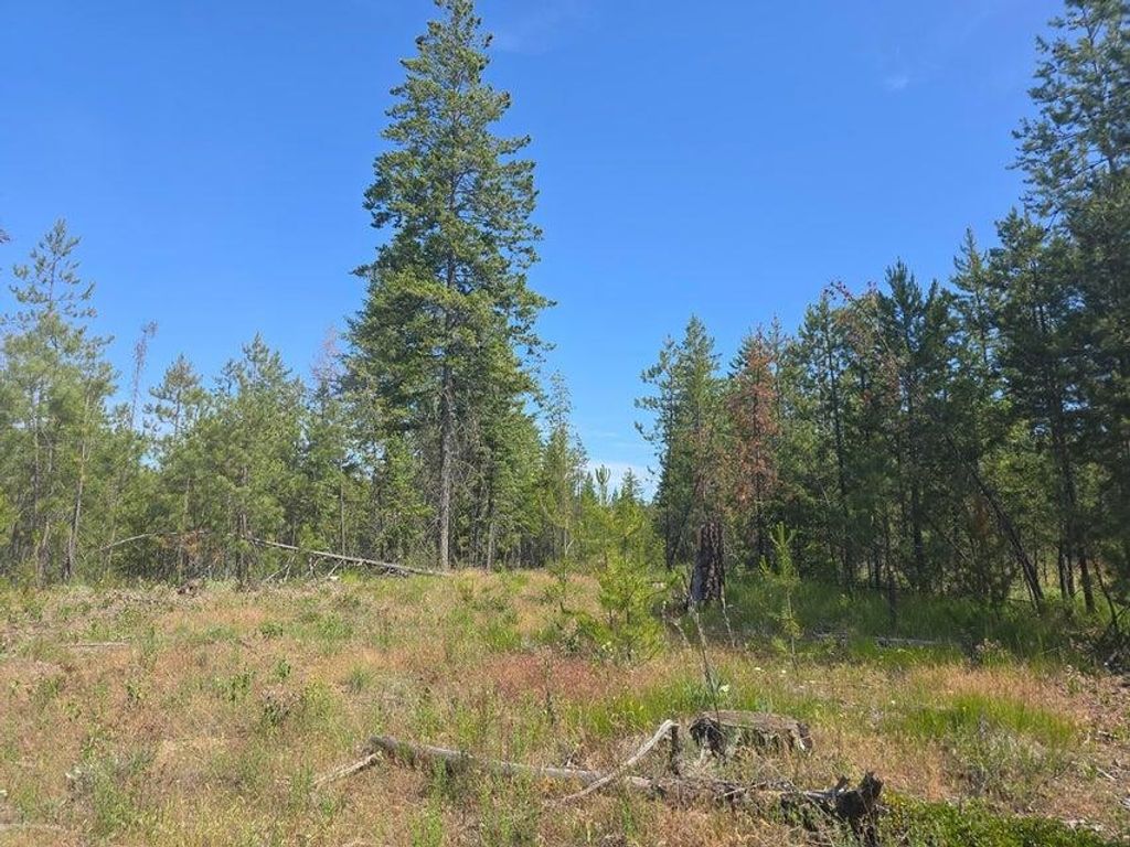 XXX Hwy 395 Hwy, Loon Lake, WA 99148 photo 13