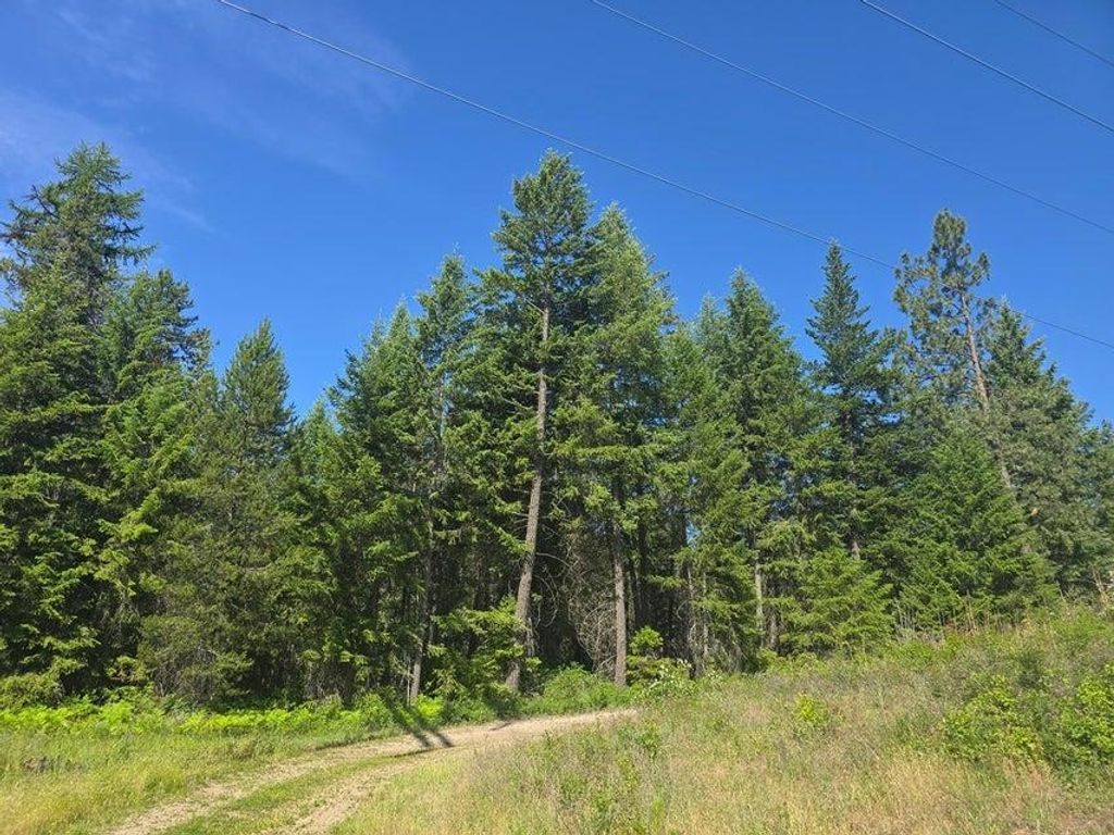 XXX Hwy 395 Hwy, Loon Lake, WA 99148 photo 8