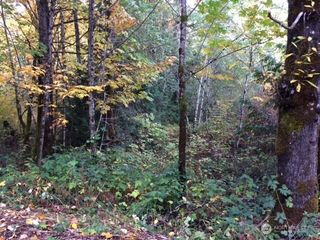 25116 SE 146th Street, Issaquah, WA 98027