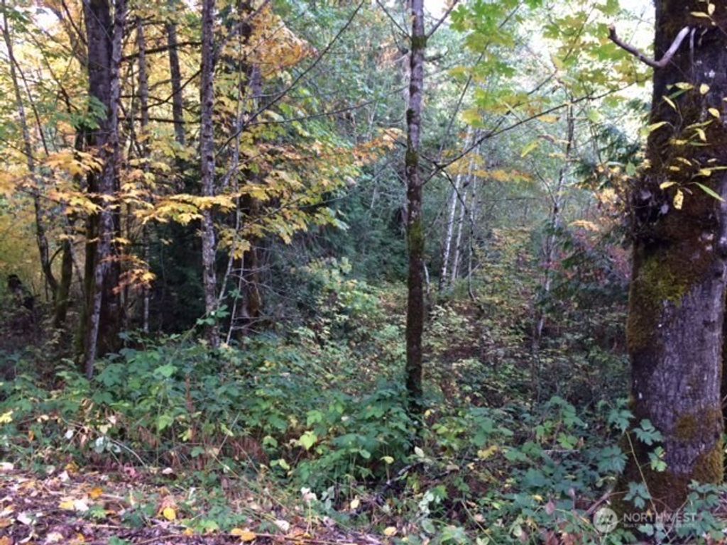 25116 SE 146th Street, Issaquah, WA 98027