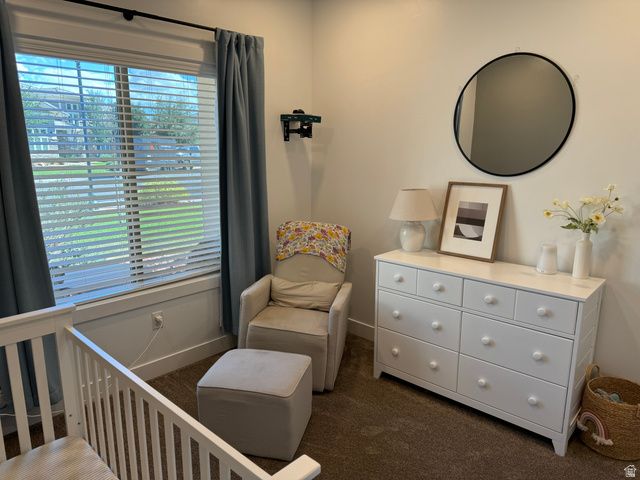 3920 S STEEPLECHASE RD, Washington, UT 84780