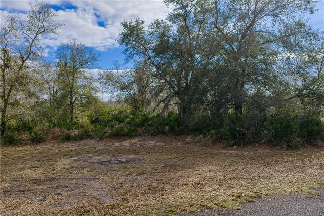 4553 CEDAR HAMMOCK STREET, Lake Wales, FL 33859