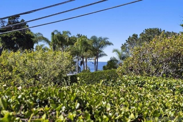 445 Avenida Primavera, Del Mar, CA 92014