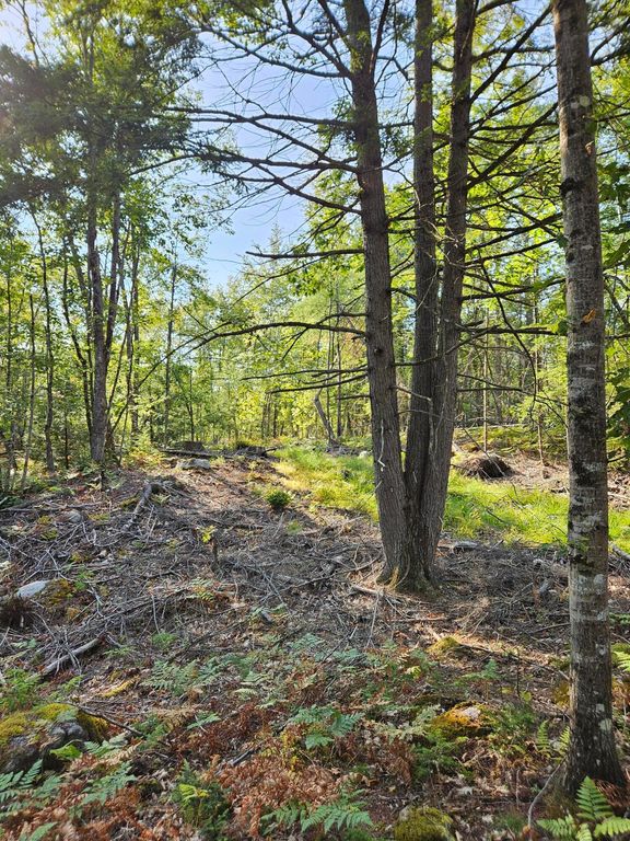 Lot A. Serenity Lane, Oxford, ME 04270 — exterior