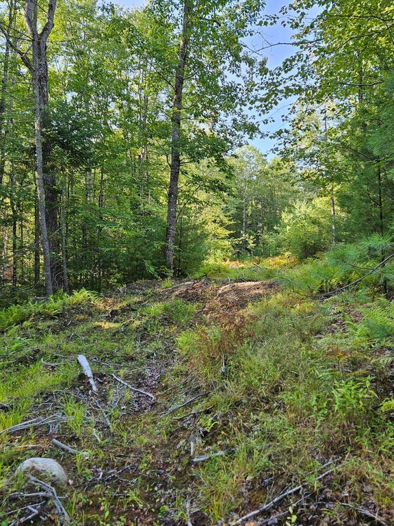 Lot A. Serenity Lane, Oxford, ME 04270 — photo 3