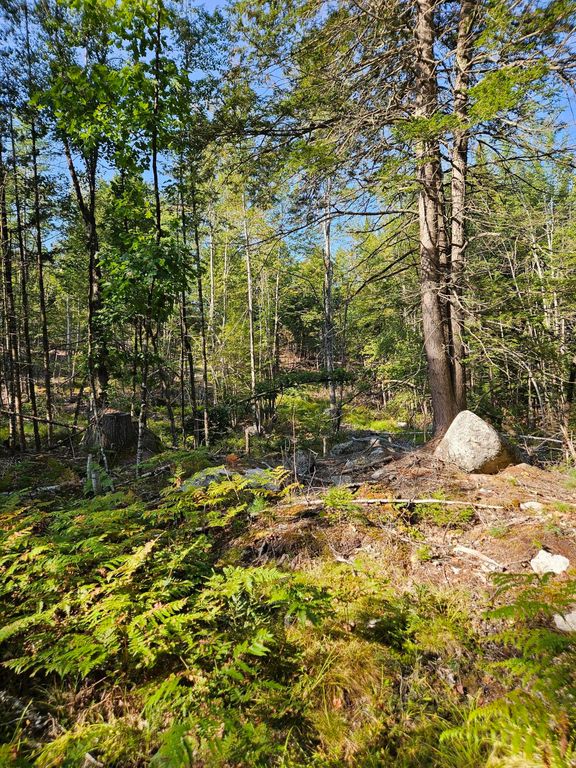 Lot A. Serenity Lane, Oxford, ME 04270 — photo 4