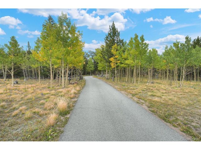 622 Foxtail Dr, Fairplay, CO 80440