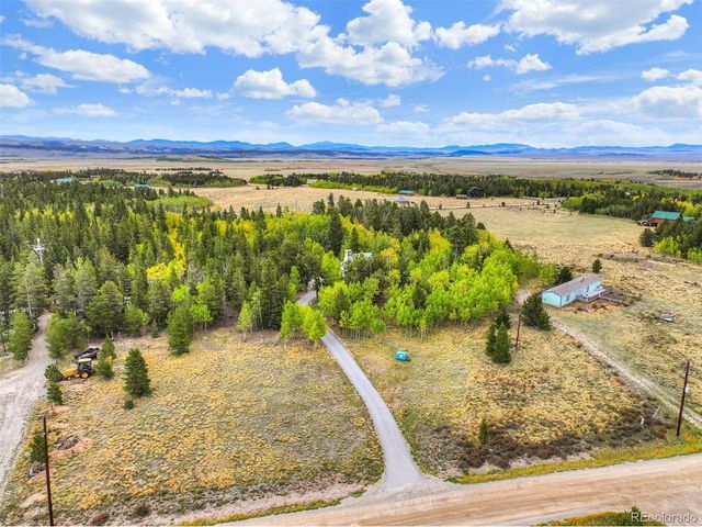 622 Foxtail Dr, Fairplay, CO 80440