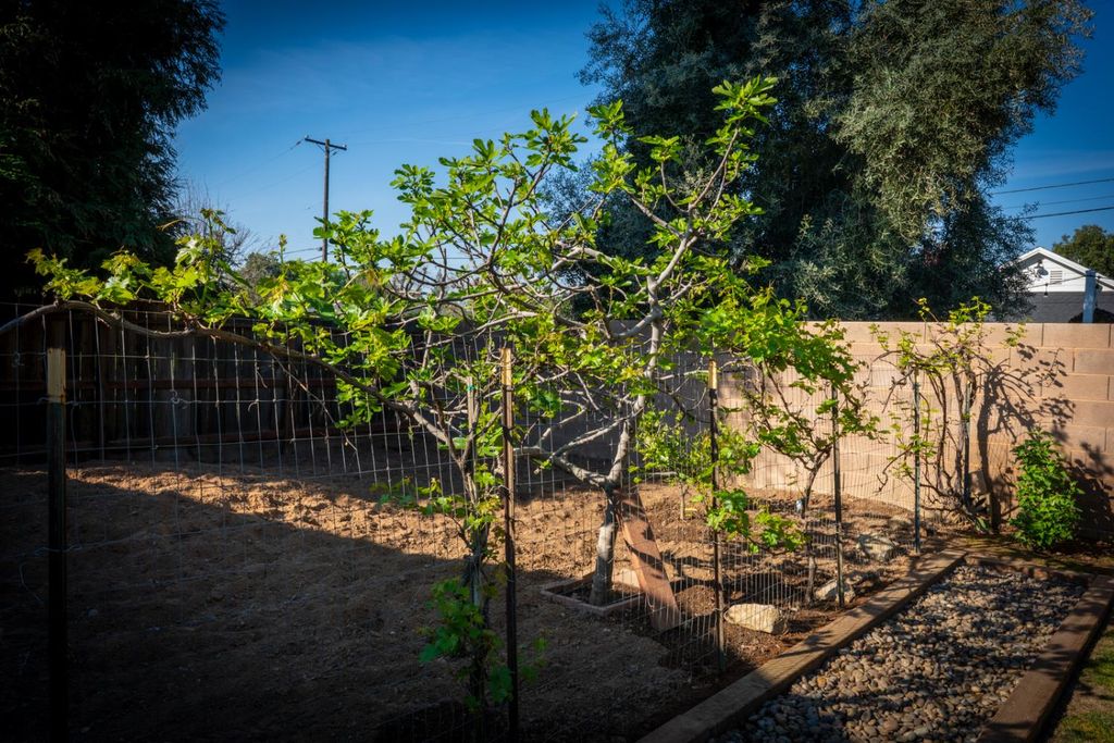 Image 46 of property listing at 294 W San Bruno Avenue, Fresno, CA 93704