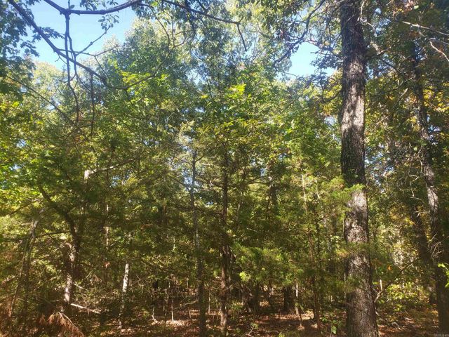316 W Shady Lane, Horseshoe Bend, AR 72512