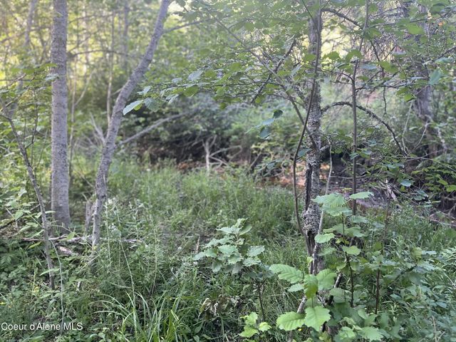 0 Upper Pack River Rd, Sandpoint, ID 83862