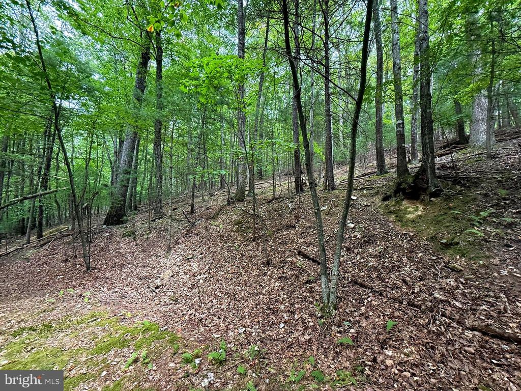 LOT 18B WITS END, Mathias, WV 26812