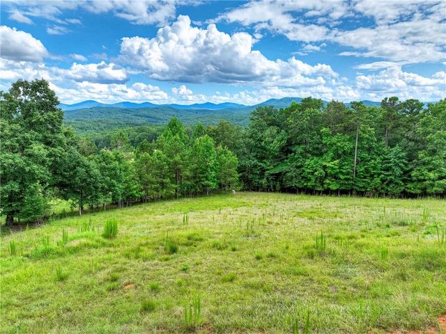 458 Blue Berry Ridge, Morganton, GA 30560