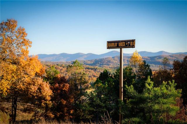 458 Blue Berry Ridge, Morganton, GA 30560