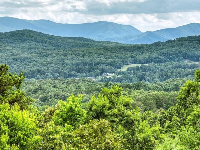 458 Blue Berry Ridge, Morganton, GA 30560