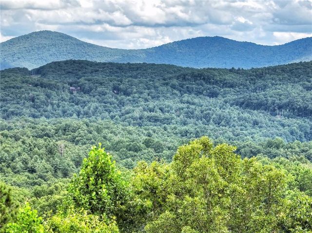 458 Blue Berry Ridge, Morganton, GA 30560