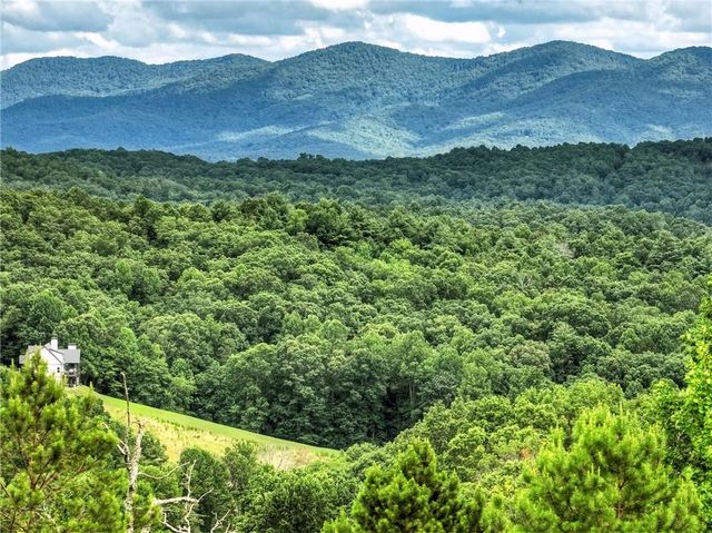 458 Blue Berry Ridge, Morganton, GA 30560