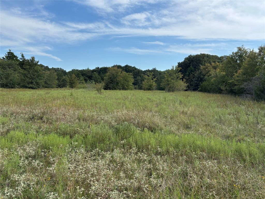 TBD CR 1105, Ravenna, TX 75476