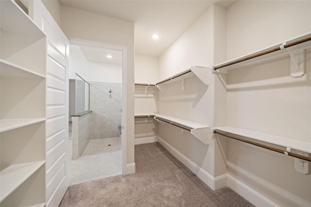 204 Bee Balm Court, Conroe, TX 77304