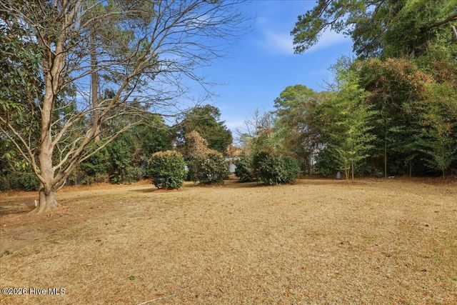 1217 Virginia Avenue, Kinston, NC 28501