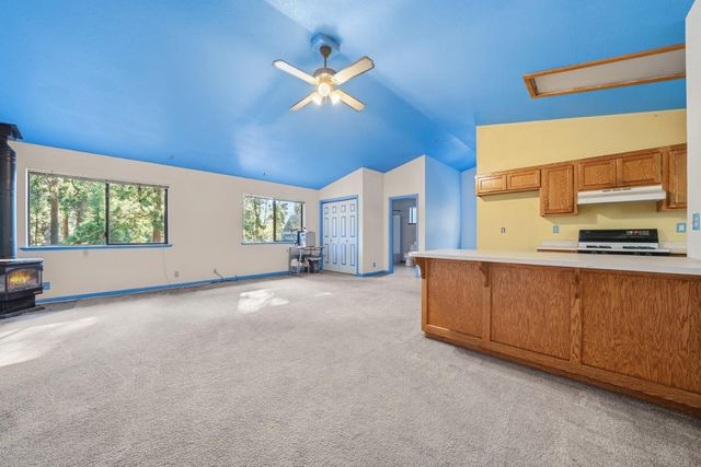 16520 Prospect Pl, Pioneer, CA 95666