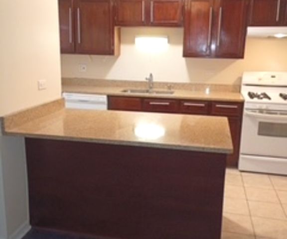 19129 Pine Drive 113, Country Club Hills, IL 60478